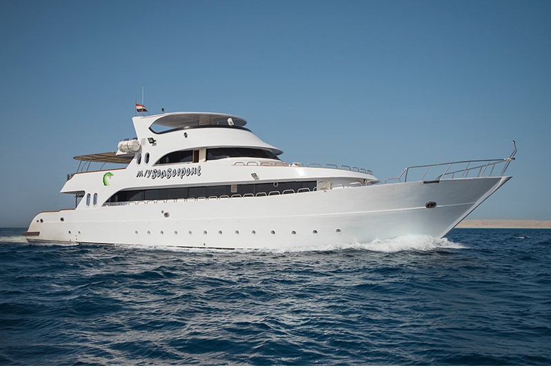 sea serpent | 船宿预订 - 趣潜船宿