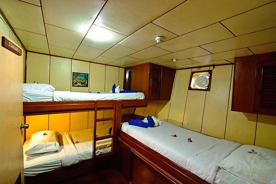 基础信息 建筑年份: 2008 长/宽:28 m/7 m 材质:钢质 房间:9